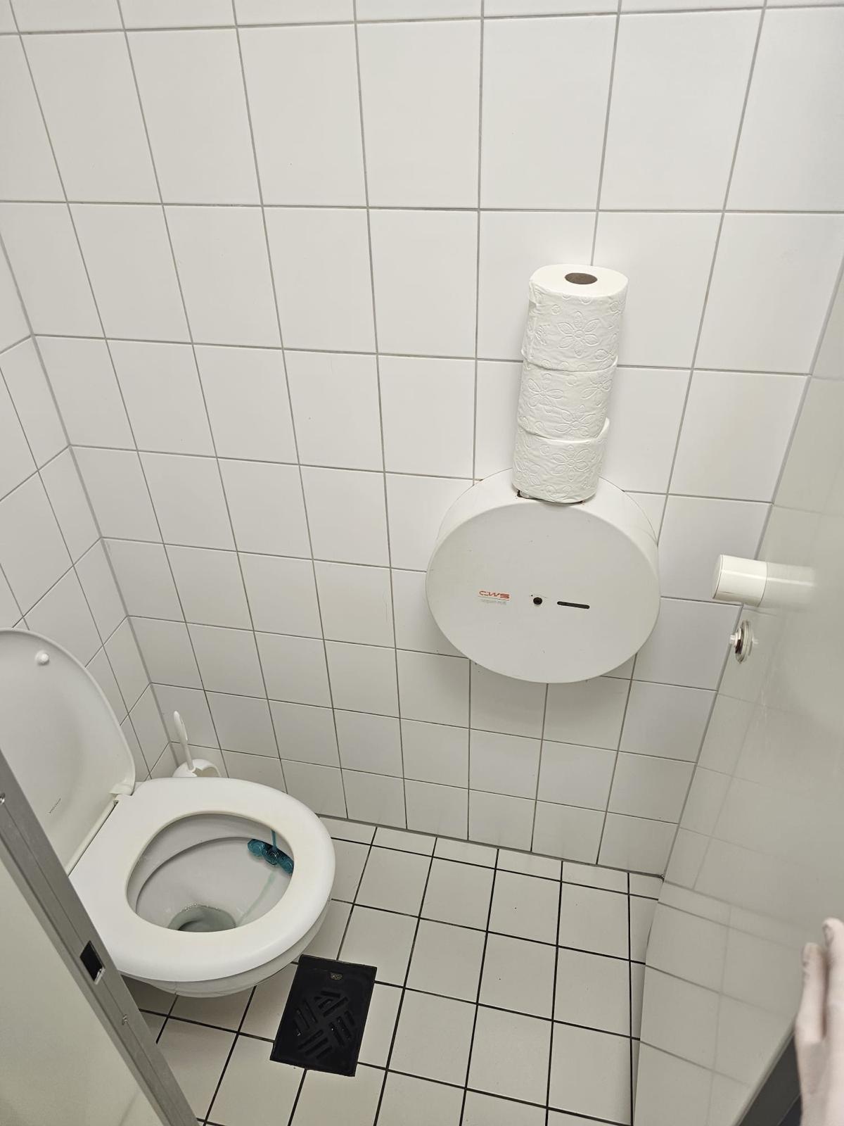 Detailaufnahme eines gepflegten Sanitärbereichs